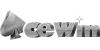 Visa partner logo